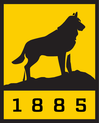 MTU Logo